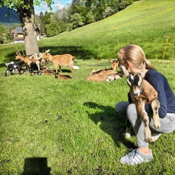 Farm stay Braun Hof Fischbachau